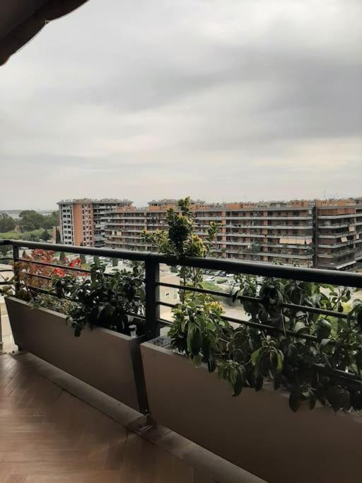 Apartment La Casa Di Gio Fiumicino